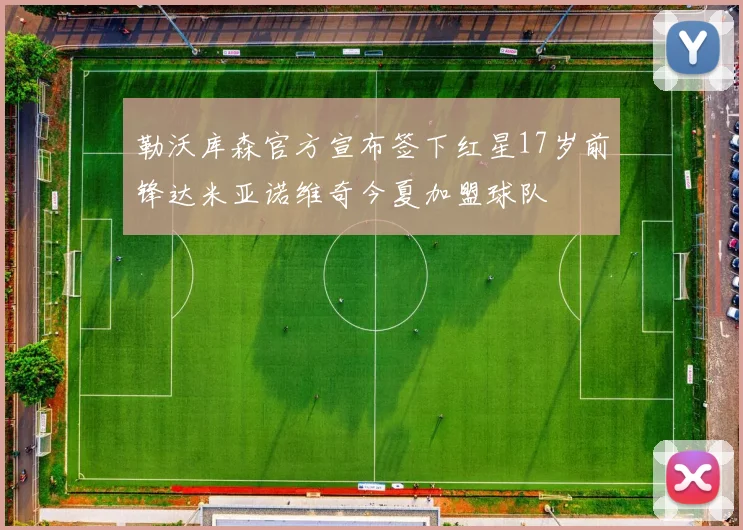 勒沃库森官方宣布签下红星17岁前锋达米亚诺维奇今夏加盟球队